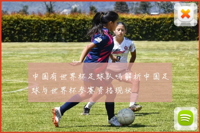 中国有世界杯足球队吗解析中国足球与世界杯参赛资格现状