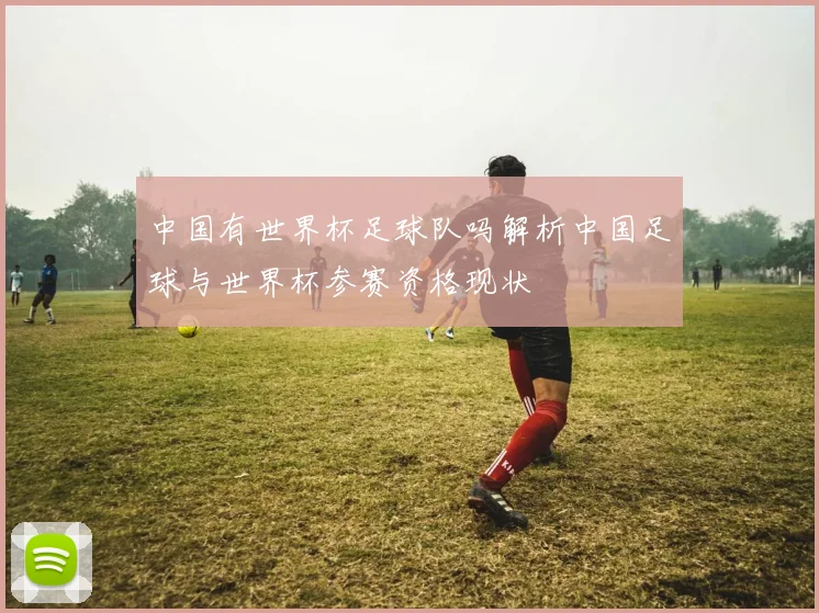 中国有世界杯足球队吗解析中国足球与世界杯参赛资格现状